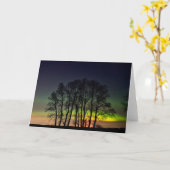 Nordlichter | Manitoba Canada Grande Pointe Karte (Gelbe Blume)