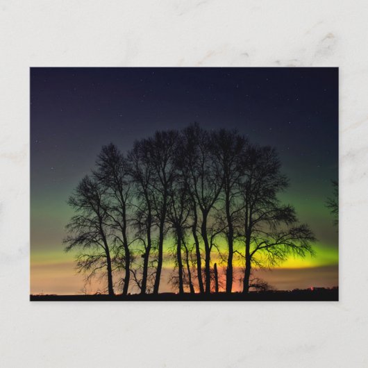 Nordlichter | Manitoba Canada Grande Pointe Postkarte (Vorderseite)