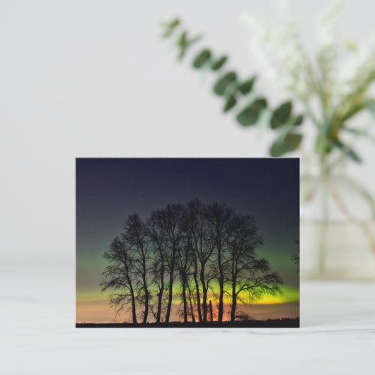 Nordlichter | Manitoba Canada Grande Pointe Postkarte (Stehend Vorderseite)