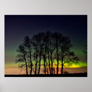 Nordlichter   Manitoba Kanada Grande Pointe Poster