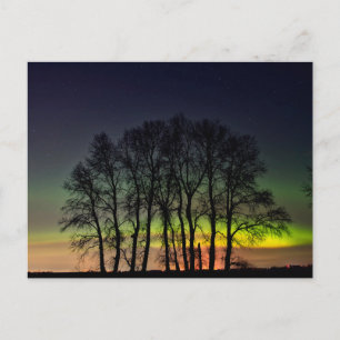 Nordlichter Manitoba Kanada Grande Pointe Postkarte