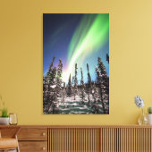 Nordlichter | Nationalpark Denali Leinwanddruck (Insitu (Wohnzimmer))