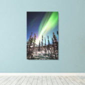 Nordlichter | Nationalpark Denali Leinwanddruck (Insitu (Holzboden))
