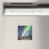 Nordlichter | Nationalpark Denali Magnet (In Situ (Geschirrspüler))