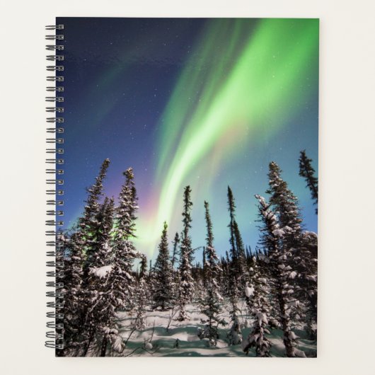 Nordlichter | Nationalpark Denali Planer (Vorderseite)