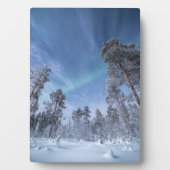 Nordlichter Norwegen Fotoplatte (Vorderseite)