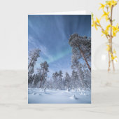 Nordlichter Norwegen Karte (Gelbe Blume)