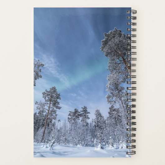 Nordlichter Norwegen Planer (Rückseite)