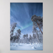 Nordlichter Norwegen Poster (Vorne)