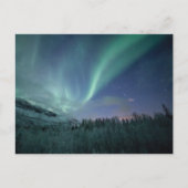 Nordlichter Norwegen Postkarte (Vorderseite)