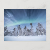 Nordlichter Norwegen Postkarte (Vorderseite)