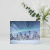 Nordlichter Norwegen Postkarte (Stehend Vorderseite)