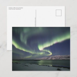Nordlichter Norwegen Postkarte