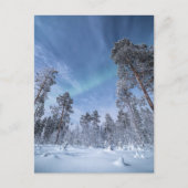 Nordlichter Norwegen Postkarte (Vorderseite)