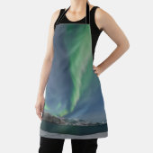 Nordlichter Norwegen Schürze (InSitu)