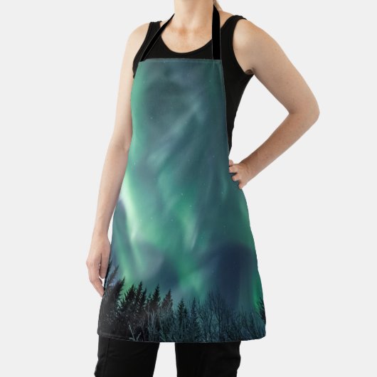 Nordlichter Norwegen Schürze (InSitu)