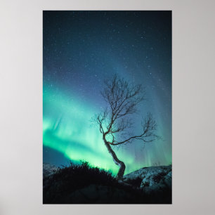Nordlichter Poster