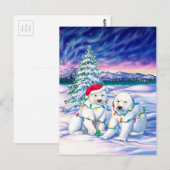 Nordlichter Postkarte (Vorne/Hinten)