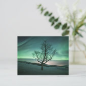 Nordlichter Postkarte (Stehend Vorderseite)