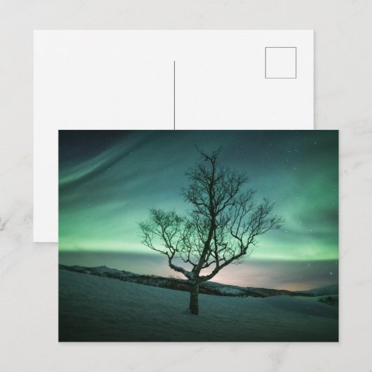 Nordlichter Postkarte (Vorne/Hinten)
