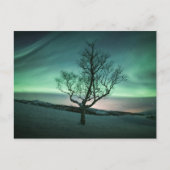 Nordlichter Postkarte (Vorderseite)
