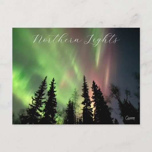 Nordlichter - Postkarte (Vorderseite)