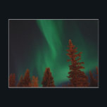 Nordlichter über Ft. Wainwright, AK Postkarte<br><div class="desc">Nordlichter</div>