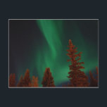 Nordlichter über Ft. Wainwright, AK Postkarte<br><div class="desc">Nordlichter</div>