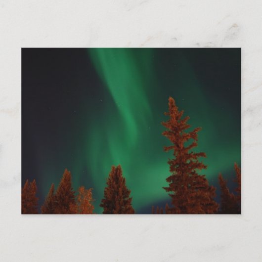 Nordlichter über Ft. Wainwright, AK Postkarte (Vorderseite)