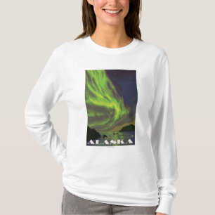 Nordlichter und Schwertwale - Katmai, Alaska T-Shirt