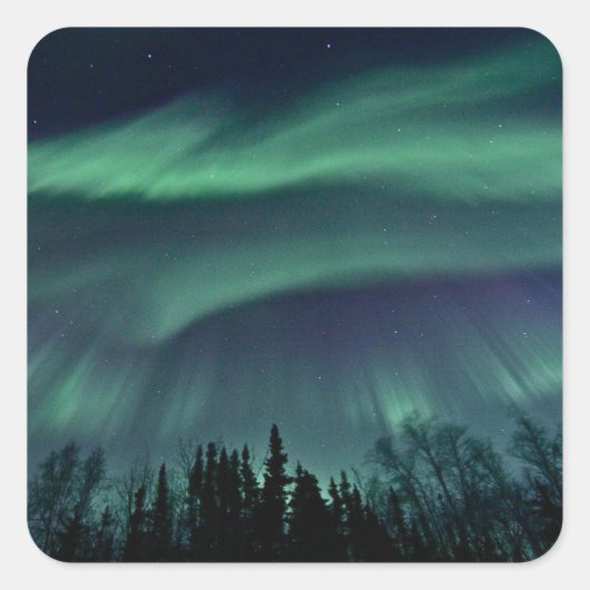 Nordlichter von Alaska Quadratischer Aufkleber (Vorderseite)