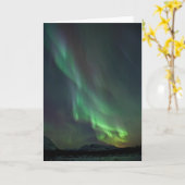 Nordlichter | Whitehorse, Yukon Karte (Gelbe Blume)