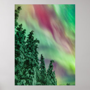Nordlichter Winter in Glennallen, Alaska Poster