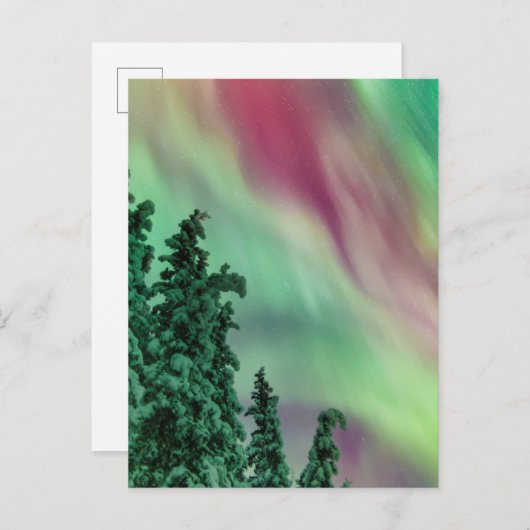 Nordlichter | Winter in Glennallen, Alaska Postkarte (Vorne/Hinten)