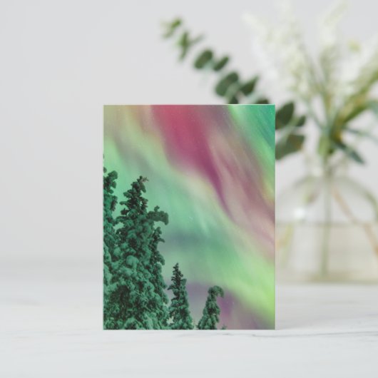 Nordlichter | Winter in Glennallen, Alaska Postkarte (Stehend Vorderseite)