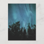 Nordlichtwald Postkarte (Vorderseite)