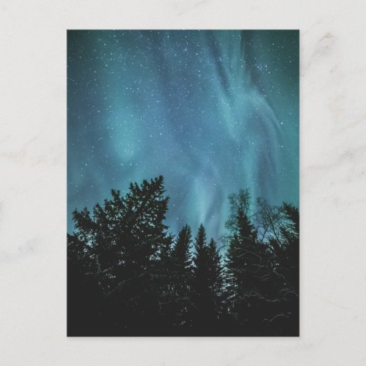 Nordlichtwald Postkarte (Vorderseite)