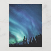 Nordlichtwald Postkarte (Vorderseite)