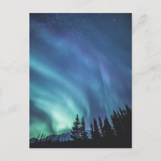 Nordlichtwald Postkarte (Vorderseite)