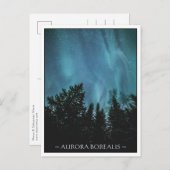Nordlichtwald Postkarte (Vorne/Hinten)