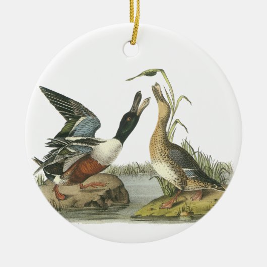 Nordlöffelente, John Audubon Keramikornament (Vorne)