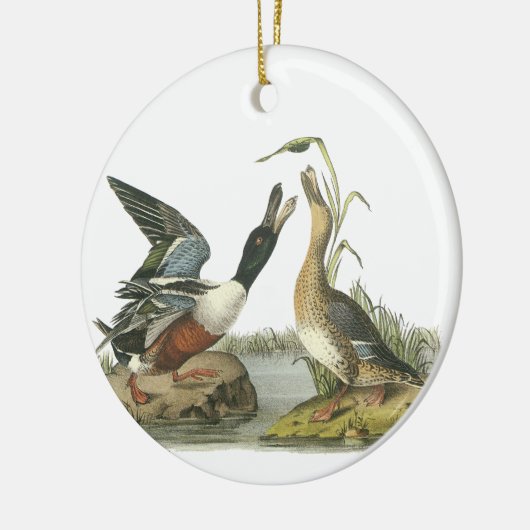 Nordlöffelente, John Audubon Keramikornament (Links)