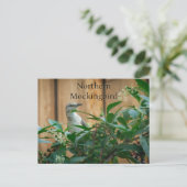 Nordmockingbird in der Pokeweed-Pflanze Postkarte (Stehend Vorderseite)