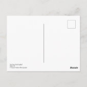 Nordmockingbird in der Pokeweed-Pflanze Postkarte (Rückseite)