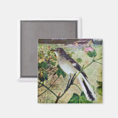 Nordmockingvogel Magnet (Vorderseite/Rückseite)
