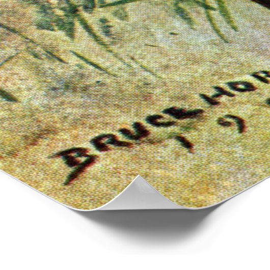 Nordmockingvogel Poster (Ecke)