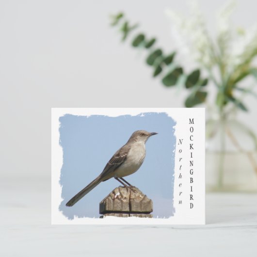 Nordmockingvogel Postkarte (Stehend Vorderseite)