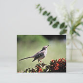 Nordmockingvogel Postkarte (Stehend Vorderseite)