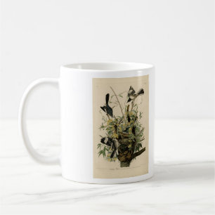 Nordmockvogel, Audubons Vögel in Amerika Kaffeetasse