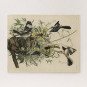 Nordmockvogel, Audubons Vögel in Amerika Puzzle (Horizontal)